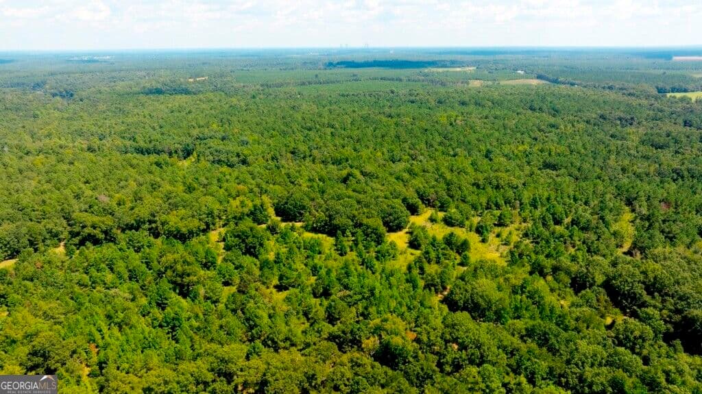 unimproved land for sale at 3480 Highway 56, Waynesboro, GA 30830 — photo 9