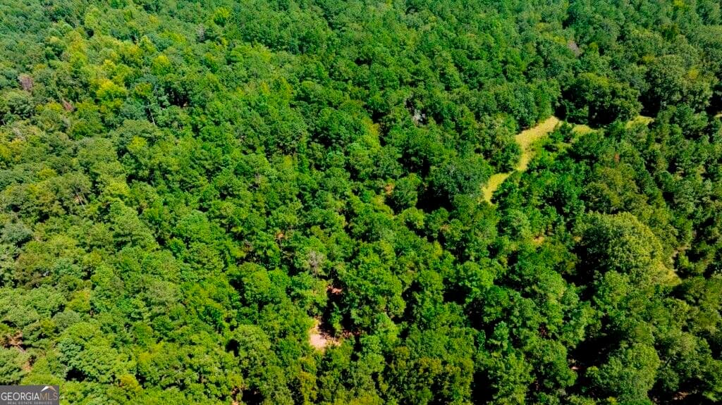 unimproved land for sale at 3480 Highway 56, Waynesboro, GA 30830 — photo 10