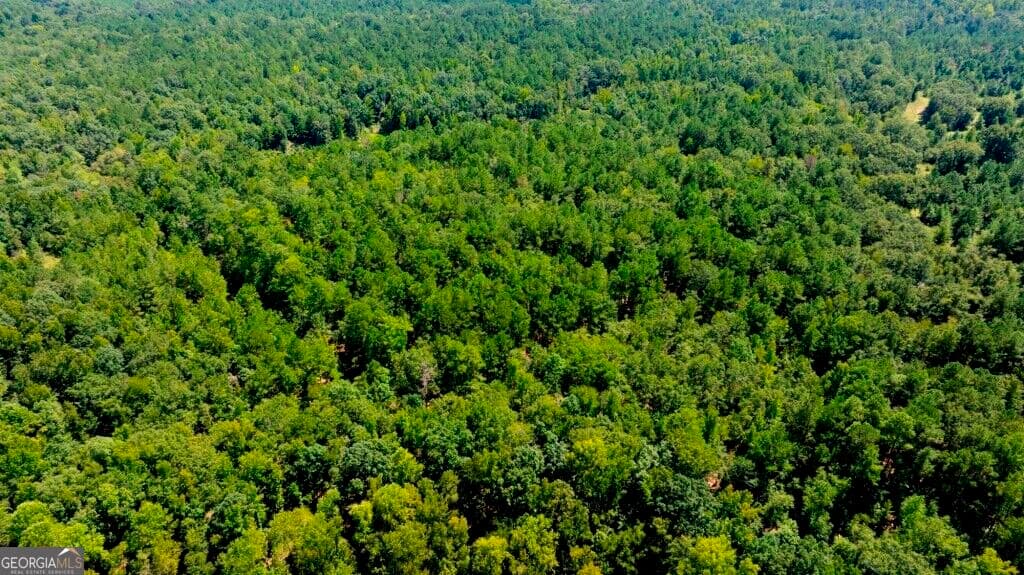 unimproved land for sale at 3480 Highway 56, Waynesboro, GA 30830 — photo 4