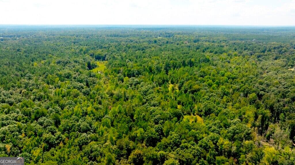 unimproved land for sale at 3480 Highway 56, Waynesboro, GA 30830 — photo 8