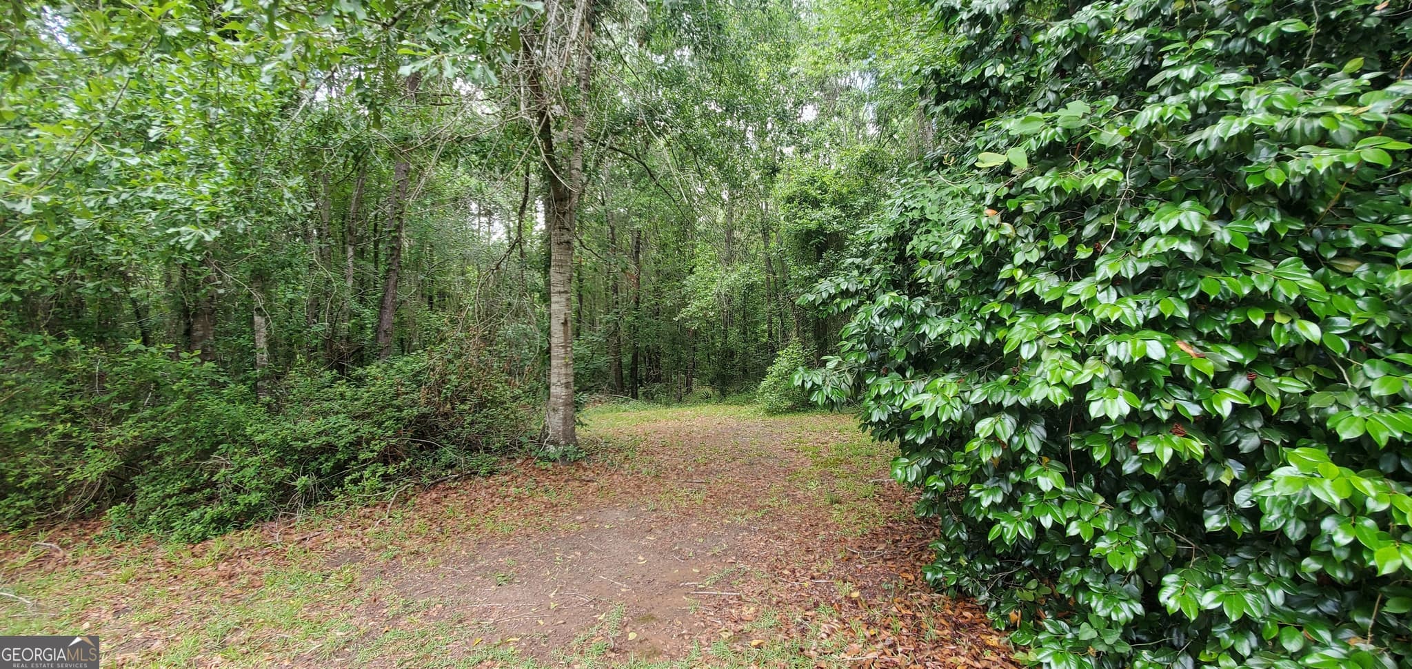 2 bedroom, 2 bathroom, 1,435 sq ft single family residence for sale at 132 N Ocmulgee Boulevard, Jacksonville, GA 31544 — photo 9