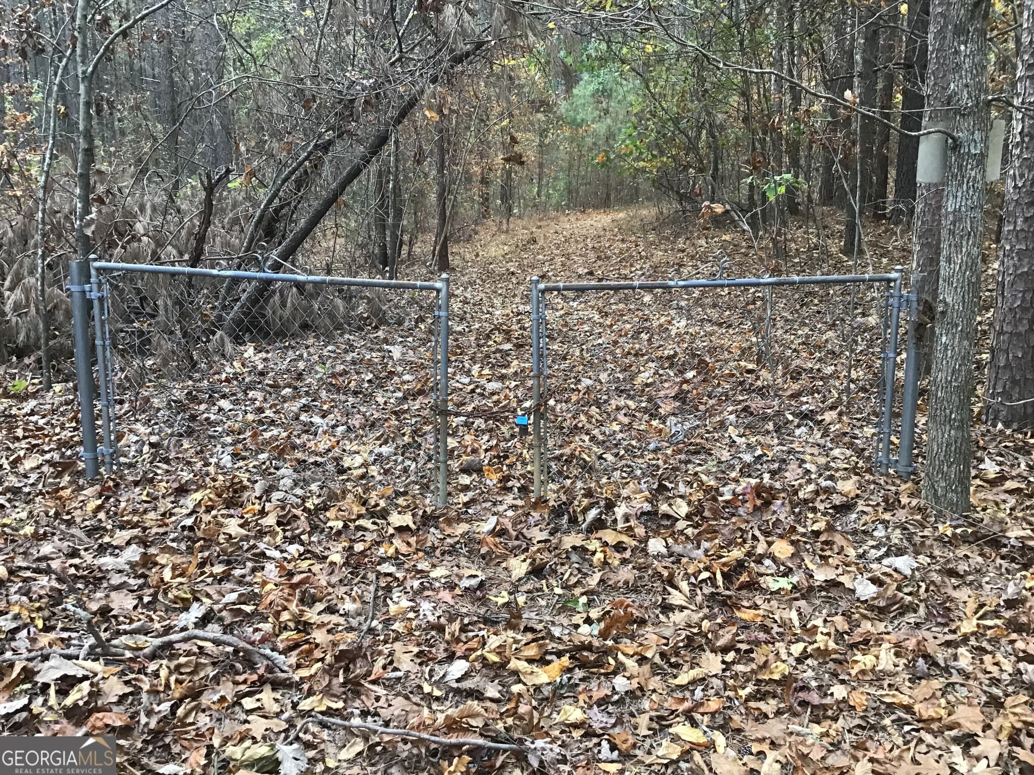 unimproved land for sale at 0 Lake Margarete Road 6017, Adairsville, GA 30103 — photo 6