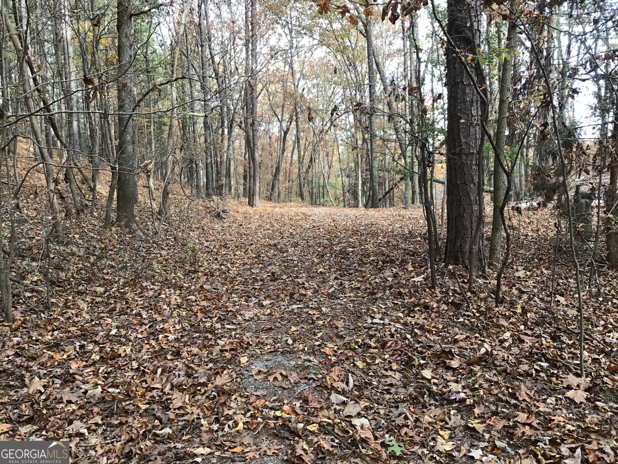 unimproved land for sale at 0 Lake Margarete Road 6017, Adairsville, GA 30103 — photo 7