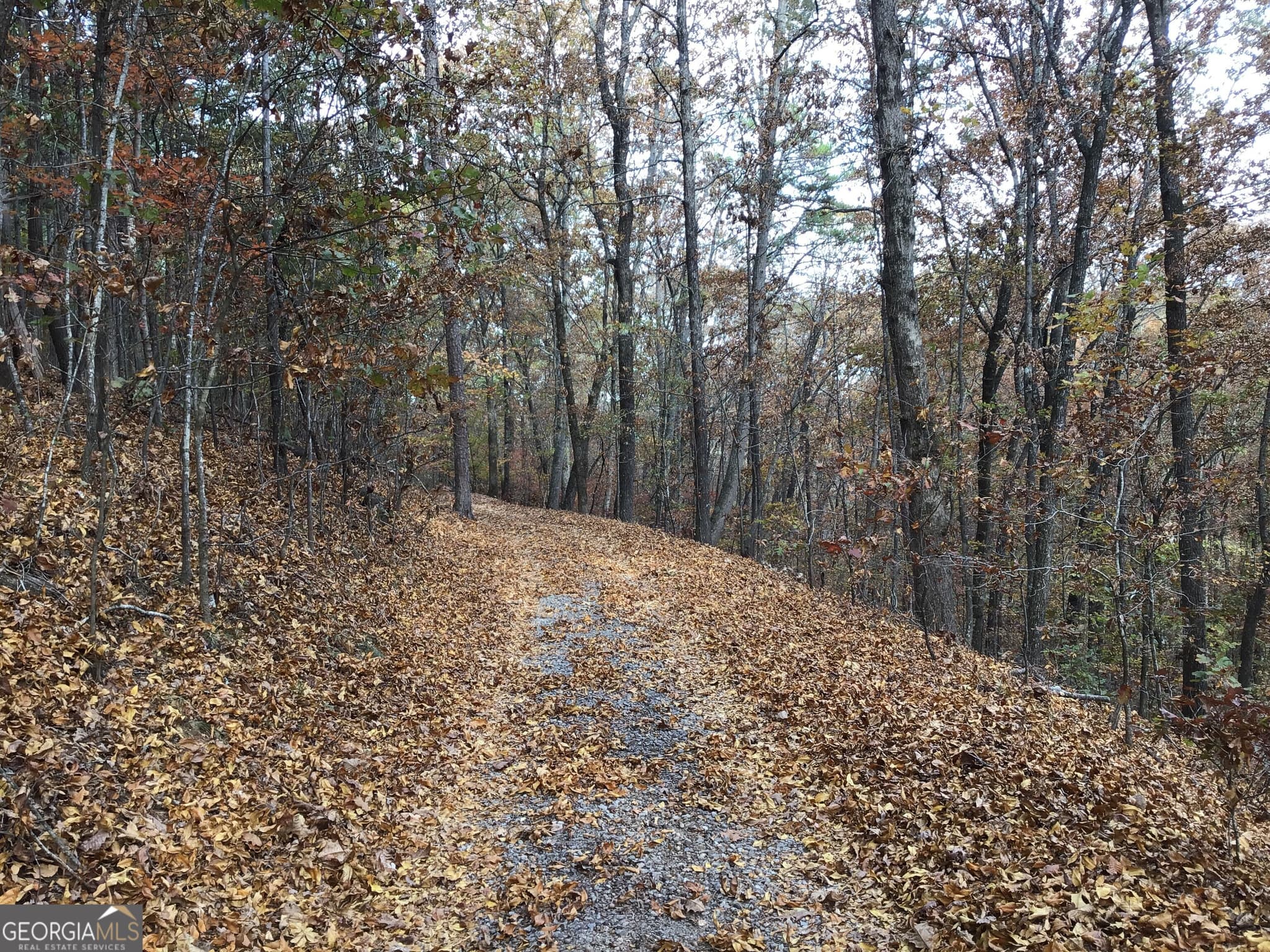 unimproved land for sale at 0 Lake Margarete Road 6017, Adairsville, GA 30103 — photo 9