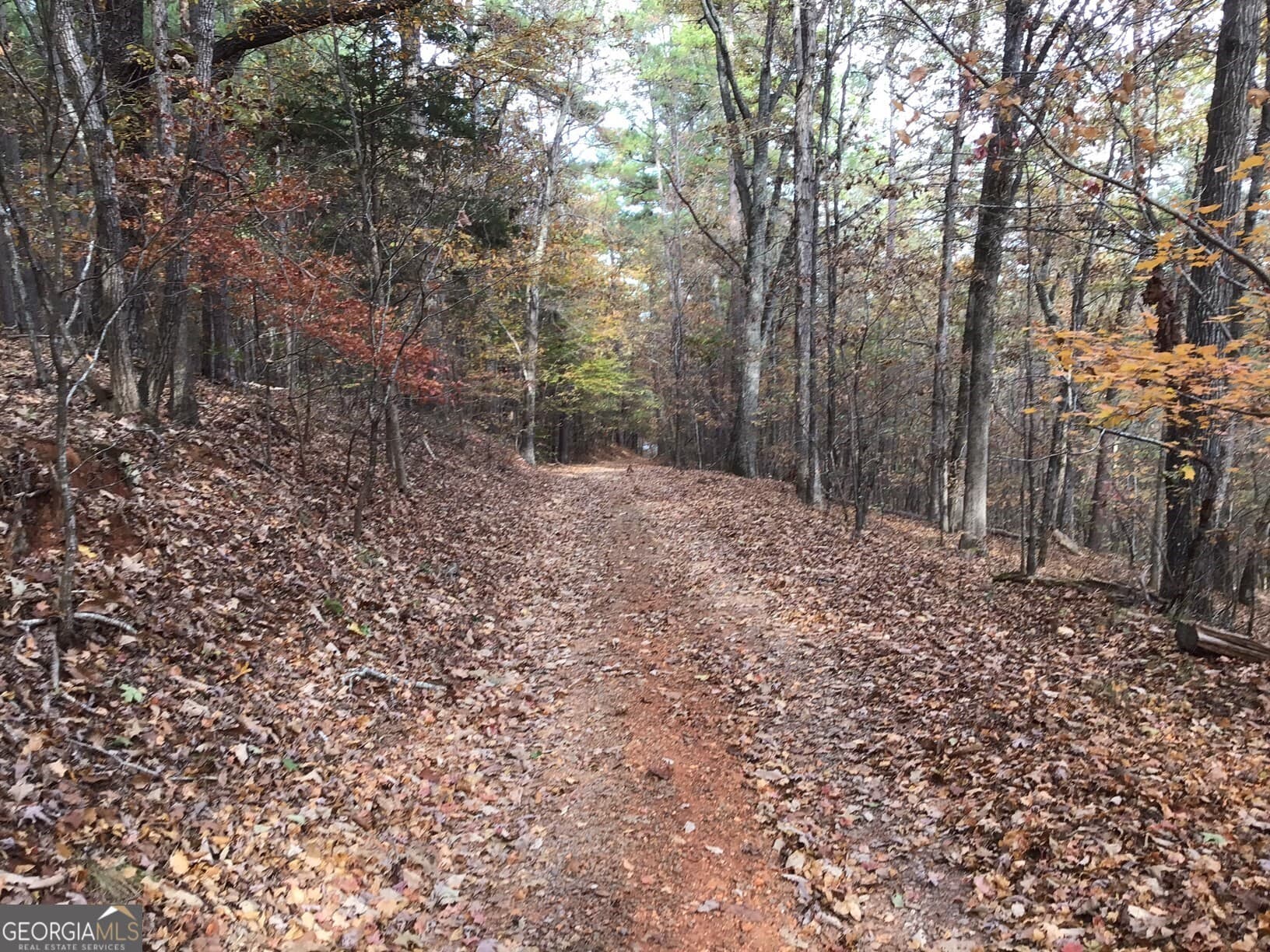 unimproved land for sale at 0 Lake Margarete Road 6017, Adairsville, GA 30103 — photo 10