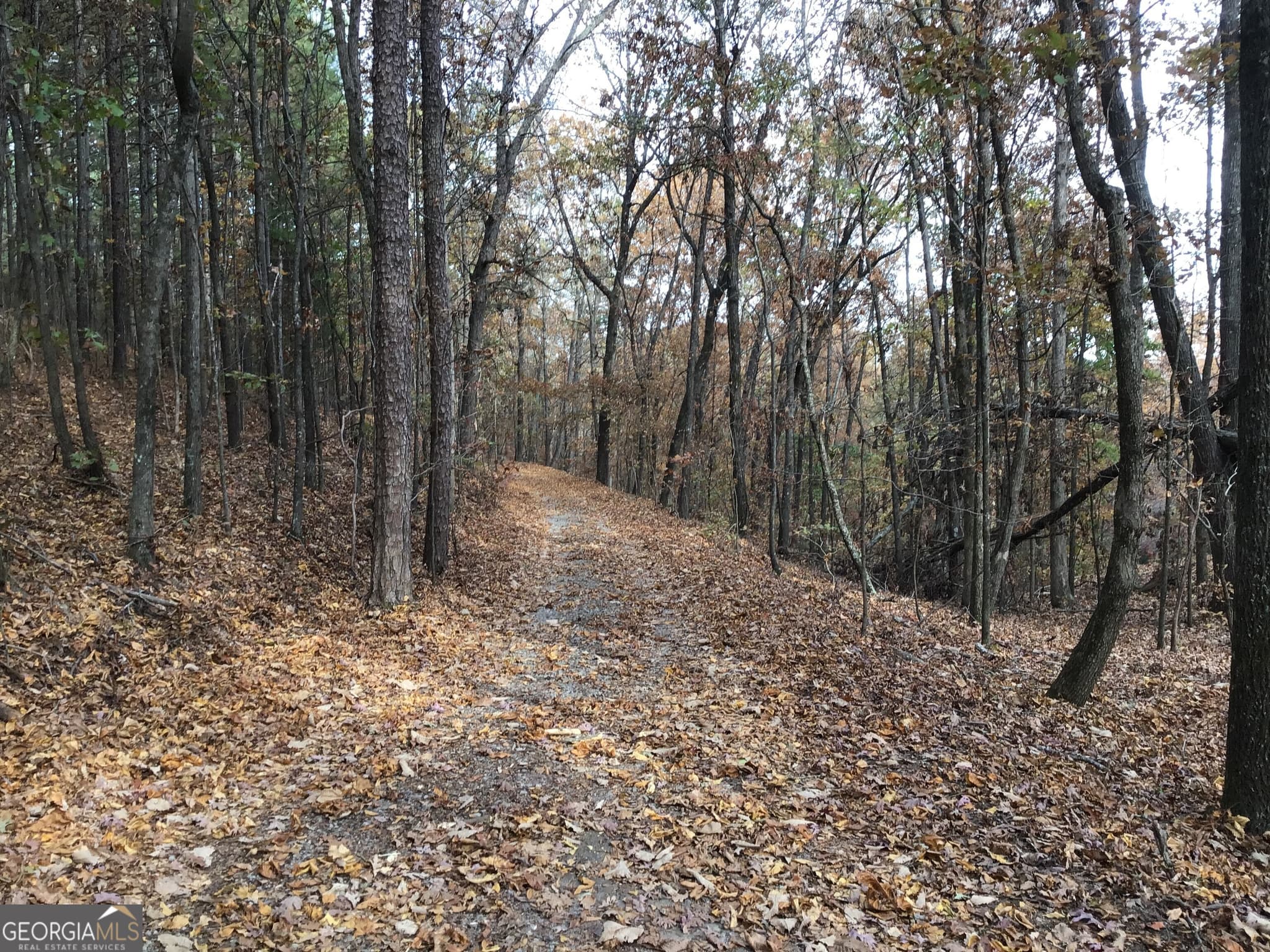 unimproved land for sale at 0 Lake Margarete Road 6017, Adairsville, GA 30103 — photo 8