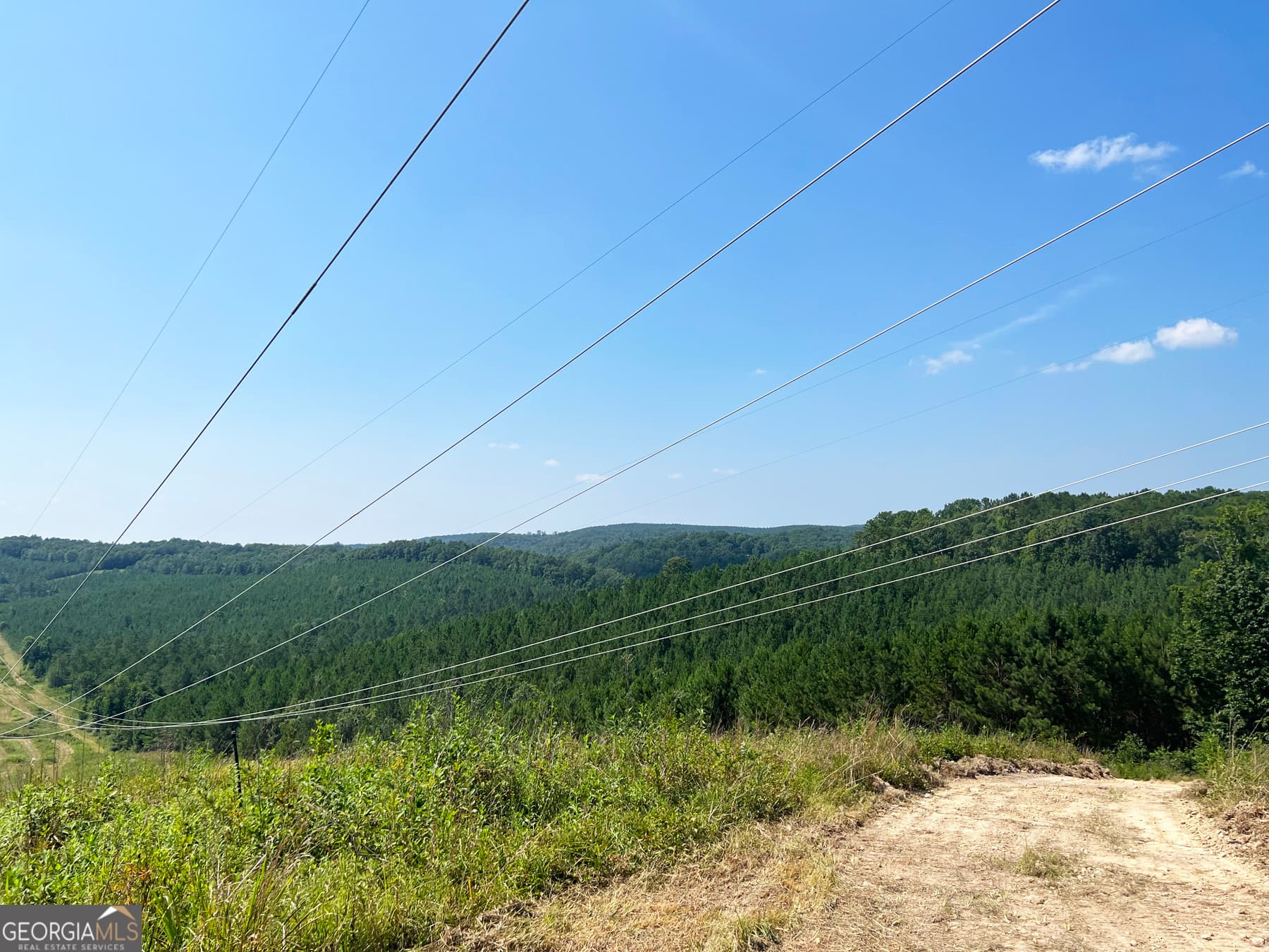 agriculture for sale at 0 Booger Hollow Road, Rome, GA 30161 — photo 6