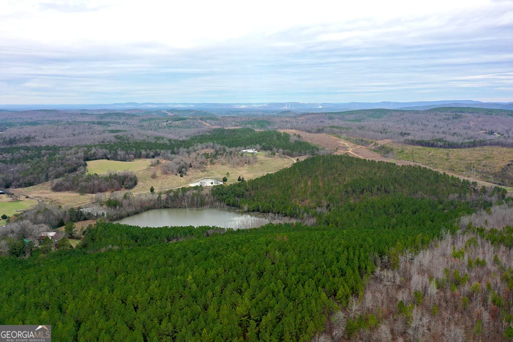 agriculture for sale at 0 Booger Hollow Road, Rome, GA 30161 — photo 3