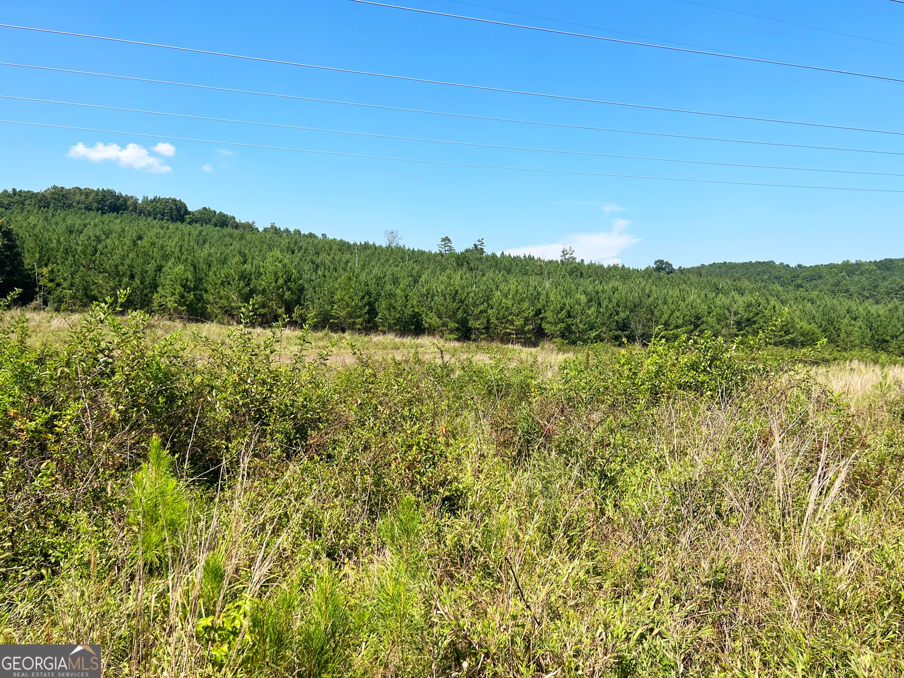agriculture for sale at 0 Booger Hollow Road, Rome, GA 30161