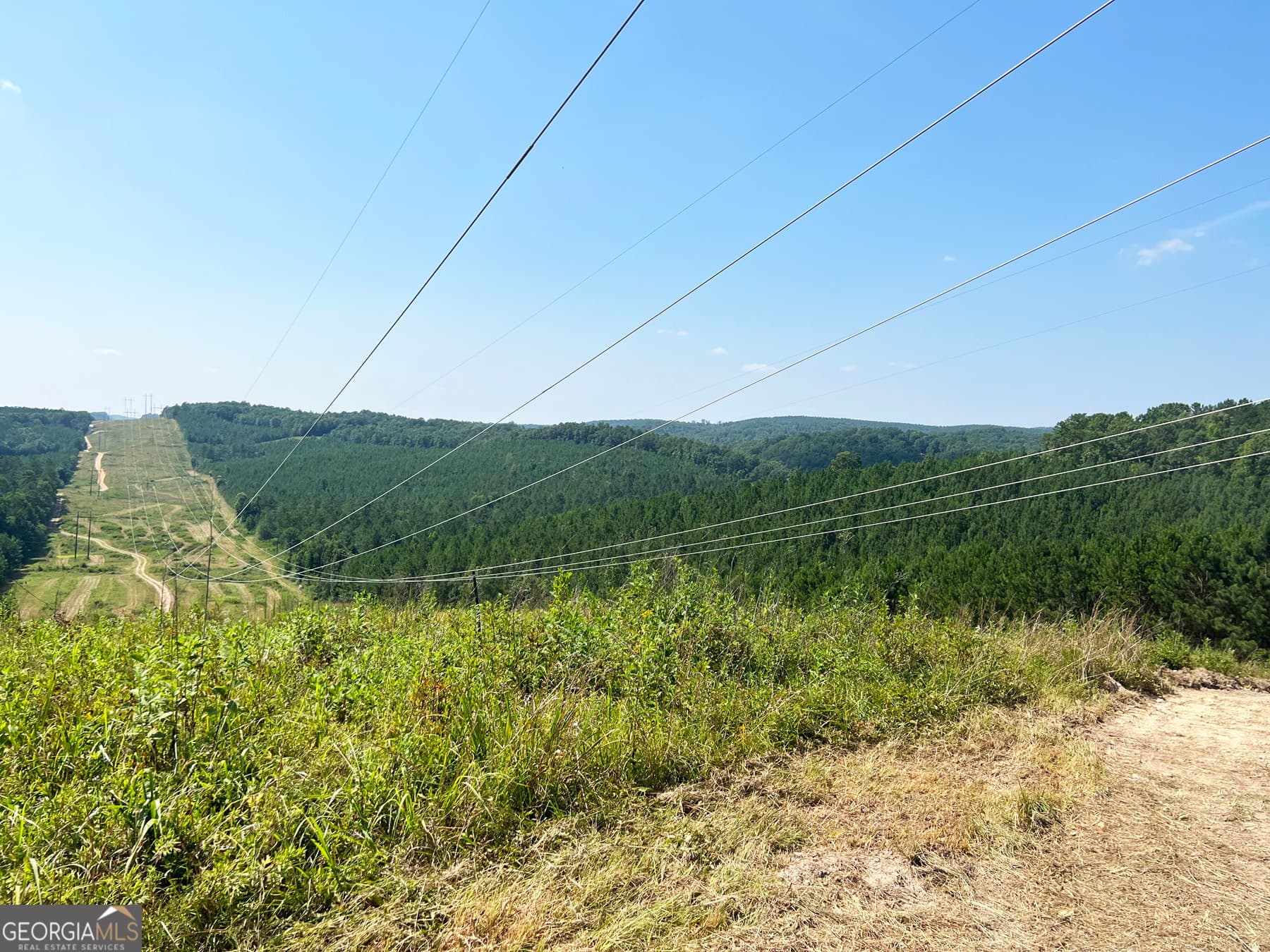 agriculture for sale at 0 Booger Hollow Road, Rome, GA 30161 — photo 5