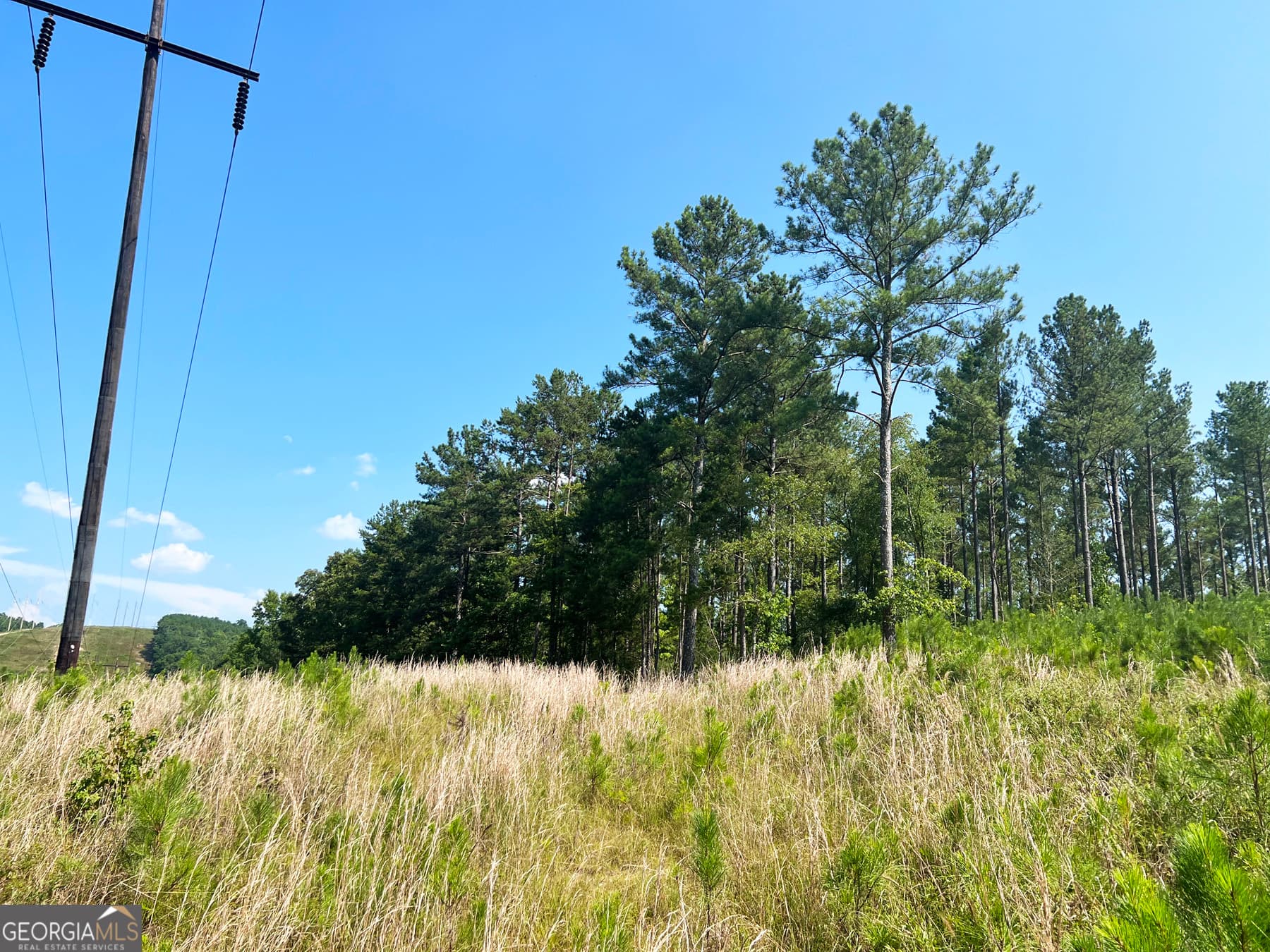 agriculture for sale at 0 Booger Hollow Road, Rome, GA 30161 — photo 10
