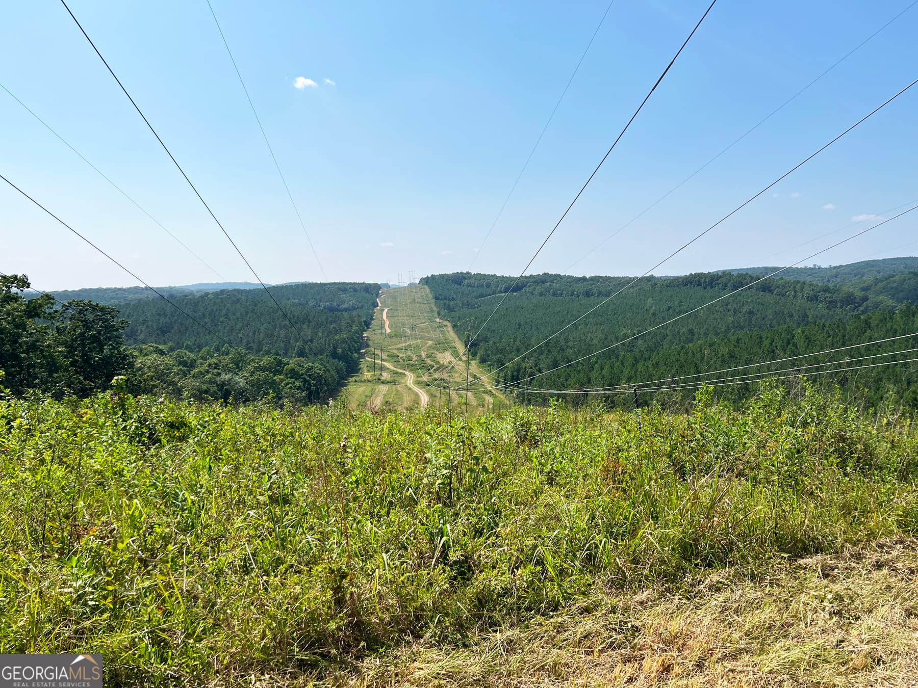 agriculture for sale at 0 Booger Hollow Road, Rome, GA 30161 — photo 4