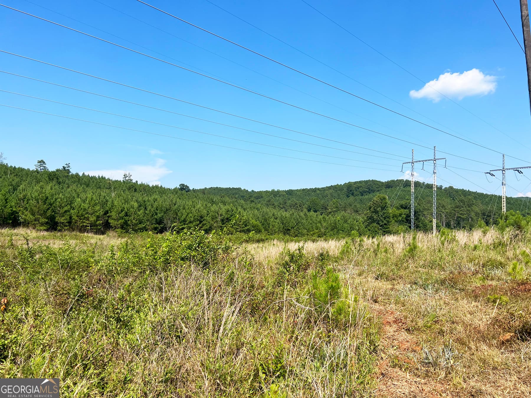 agriculture for sale at 0 Booger Hollow Road, Rome, GA 30161 — photo 8