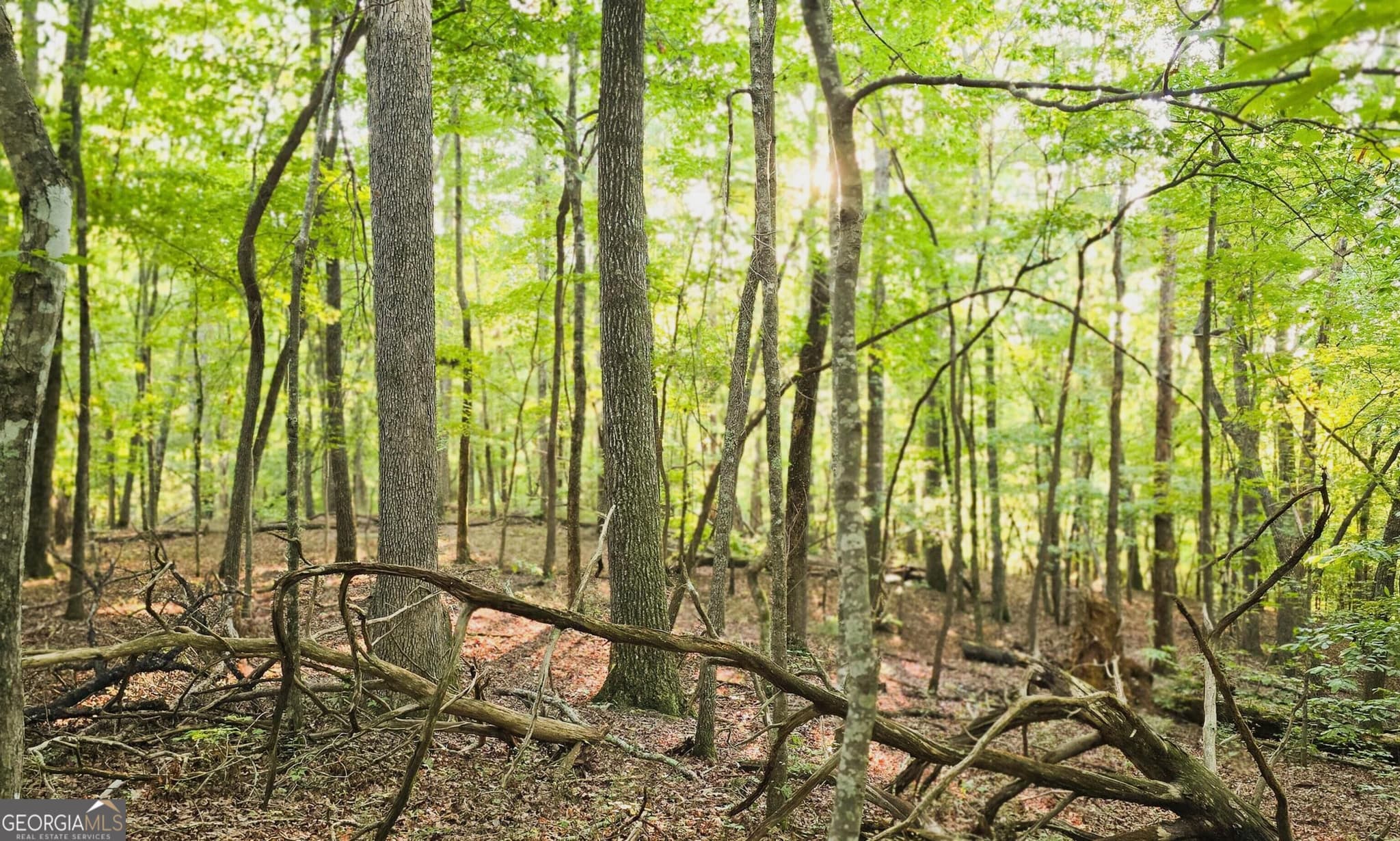 residential lot for sale at LOT 20 Seye Wailo Trail, Clarkesville, GA 30523 — photo 2