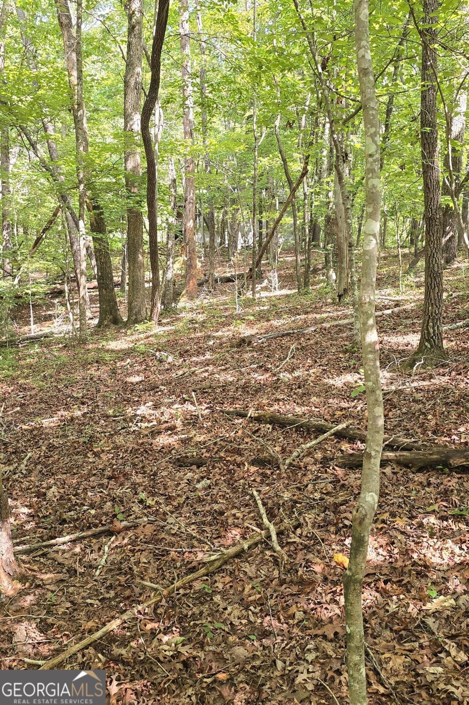 residential lot for sale at LOT 20 Seye Wailo Trail, Clarkesville, GA 30523 — photo 7