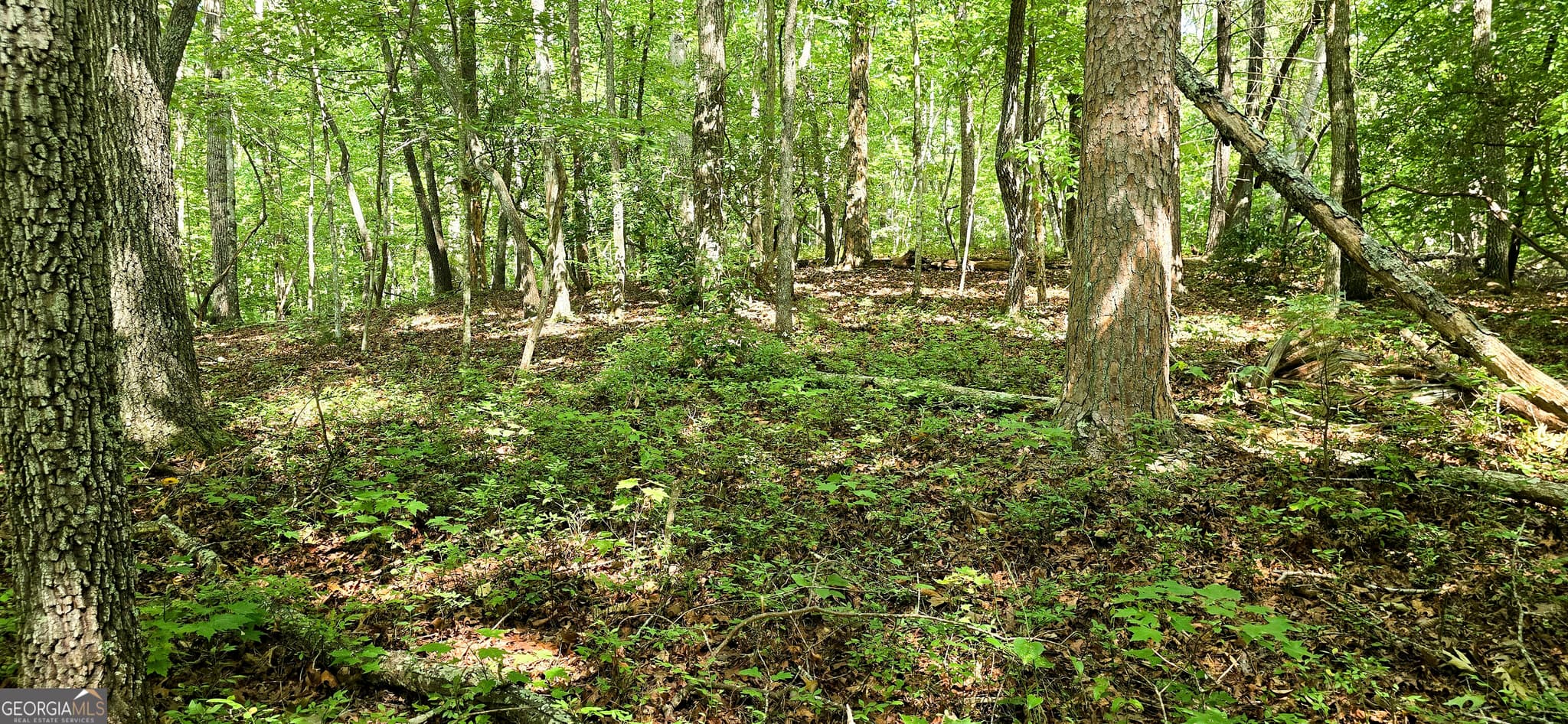 residential lot for sale at LOT 20 Seye Wailo Trail, Clarkesville, GA 30523 — photo 3