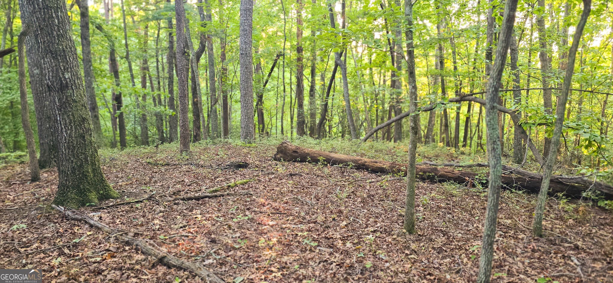 residential lot for sale at LOT 20 Seye Wailo Trail, Clarkesville, GA 30523 — photo 1 of 9
