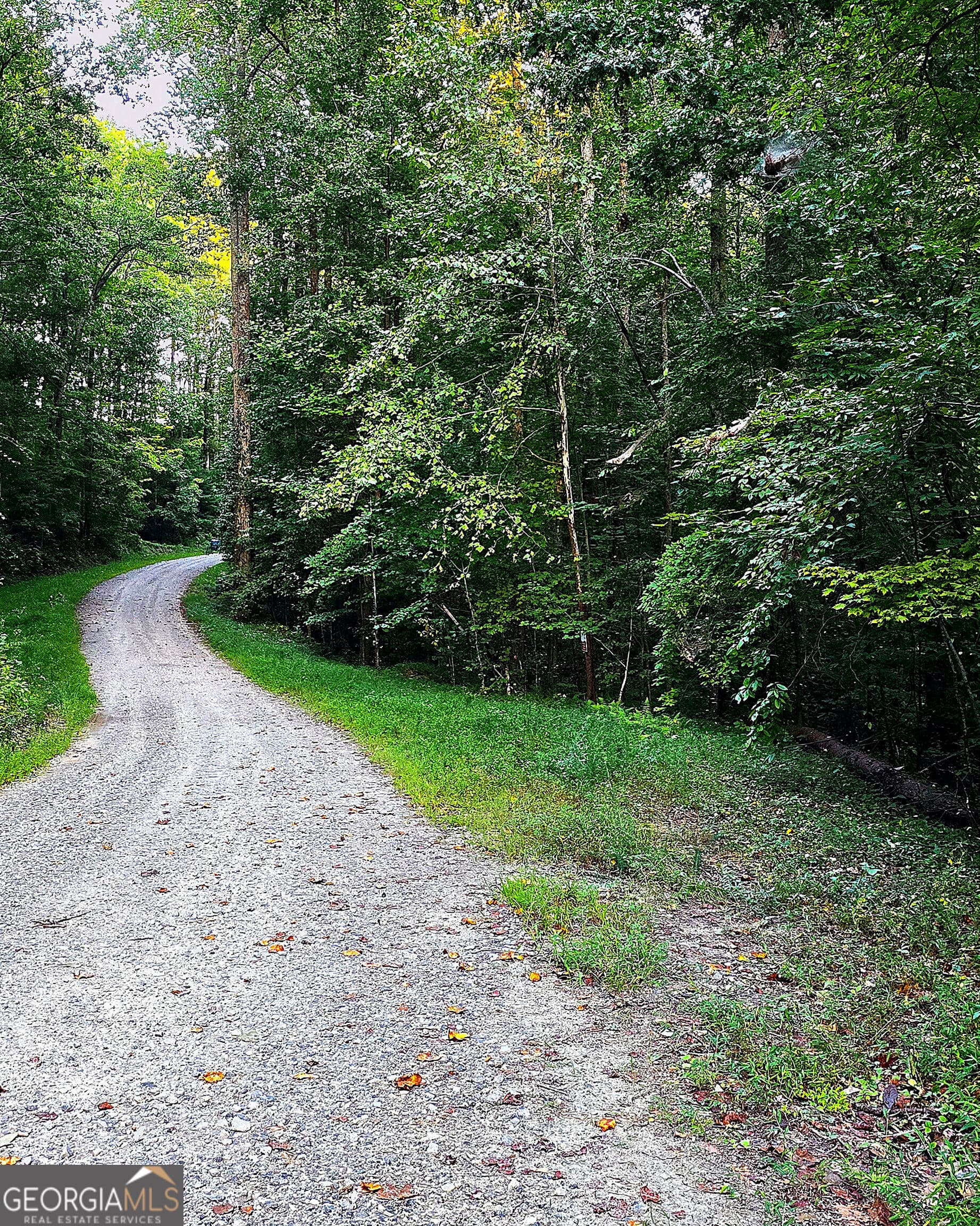residential lot for sale at LOT 20 Seye Wailo Trail, Clarkesville, GA 30523 — photo 8