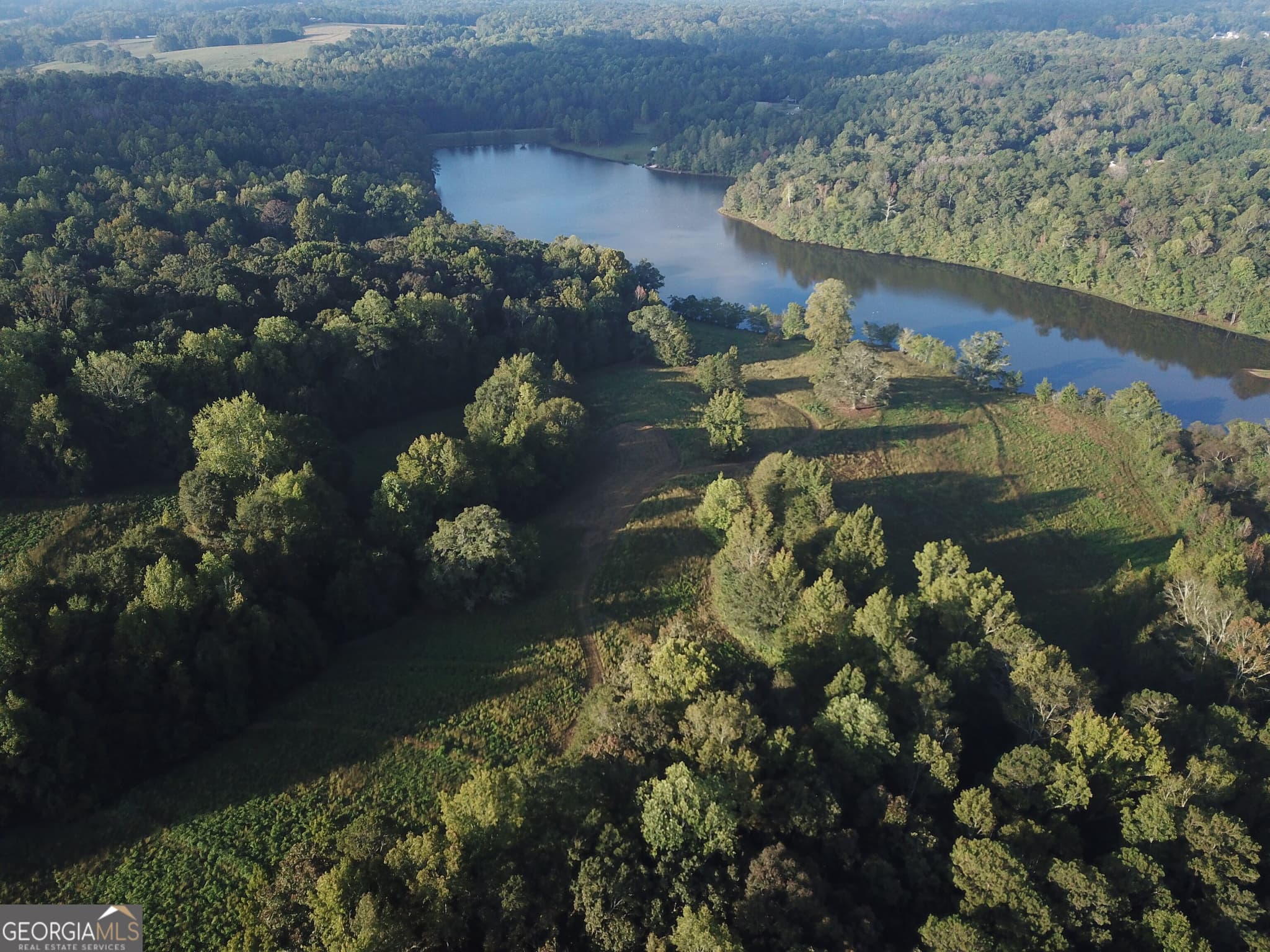 agriculture for sale at 570 OLD ANTIOCH Road, Carrollton, GA 30117 — photo 9
