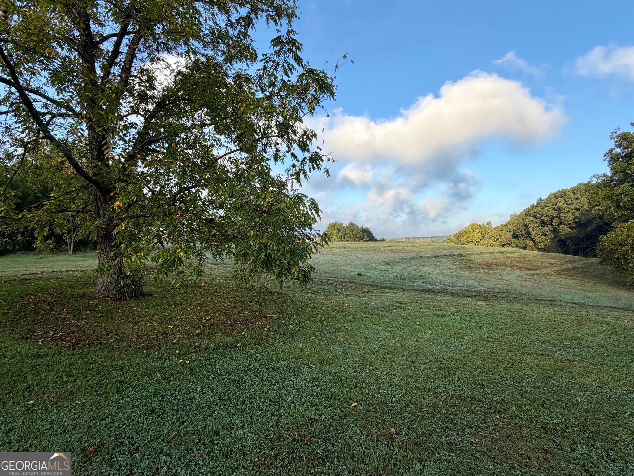 agriculture for sale at 570 OLD ANTIOCH Road, Carrollton, GA 30117 — photo 4