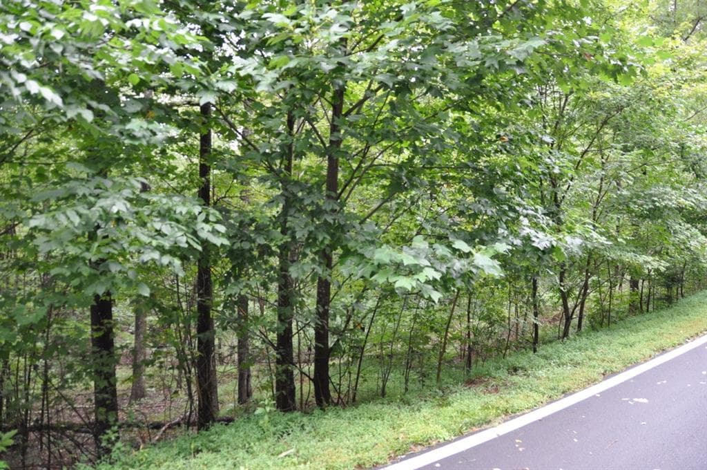 single family residence sold at 3461 Wild Pansy Ridge, Big Canoe, GA 30143