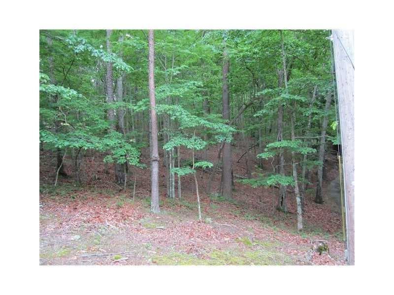 single family residence for sale at 149 Morse Elm Court, Waleska, GA 30183 — photo 3
