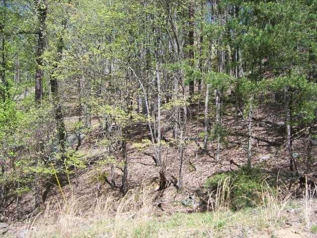 single family residence for sale at 202 White Eagle Drive, Waleska, GA 30183 — photo 3
