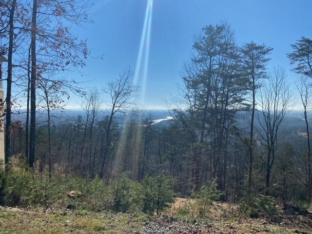 other for sale at 103 Somerset Lane, Cartersville, GA 30121 — photo 4