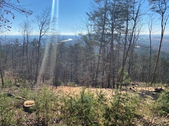 other for sale at 103 Somerset Lane, Cartersville, GA 30121 — photo 6