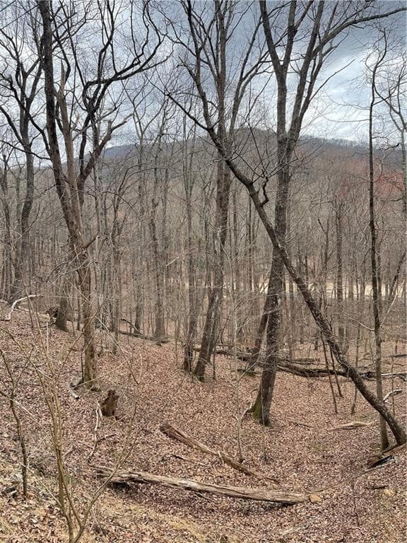 single family residence for sale at LT3150 Crippled Oak Trail, Jasper, GA 30143 — photo 4