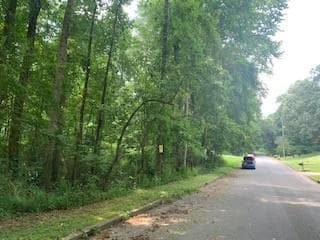unimproved land for sale at 0 Willow Creek Road, Fairburn, GA 30213 — photo 10