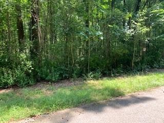 unimproved land for sale at 0 Willow Creek Road, Fairburn, GA 30213 — photo 2