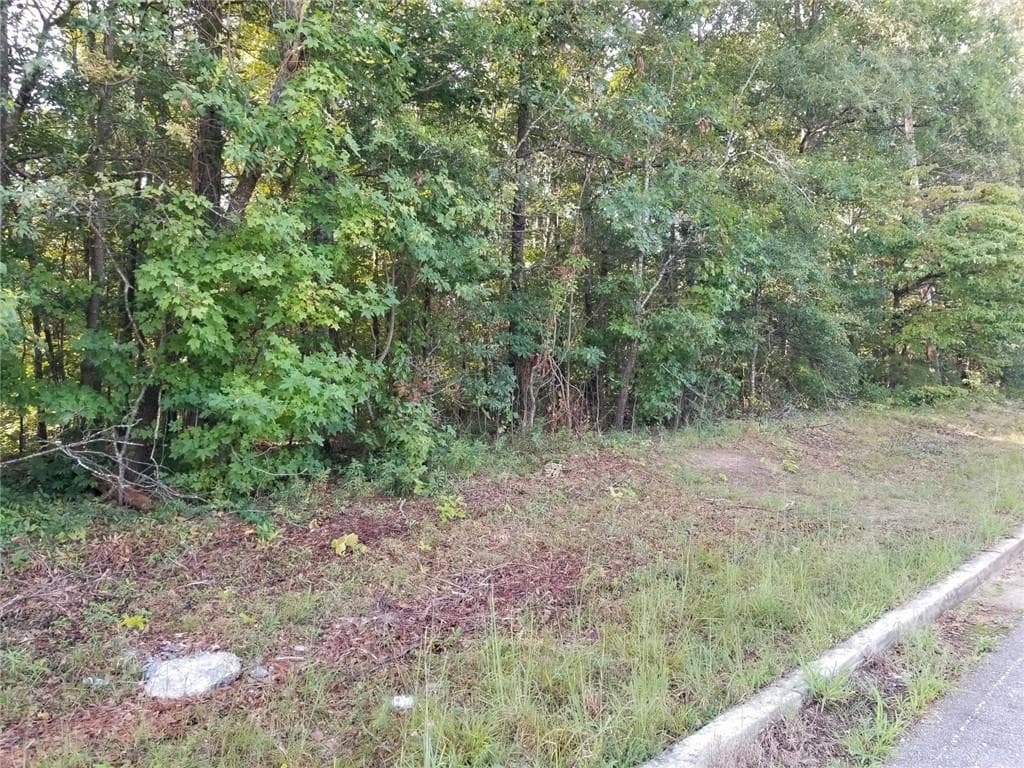other for sale at 4885 Hog Mountain Road, Flowery Branch, GA 30542