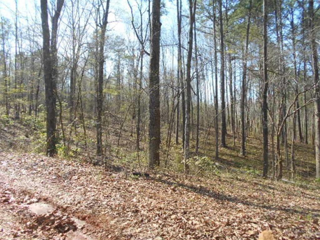 other for sale at 0 Nebo Road, Dallas, GA 30141