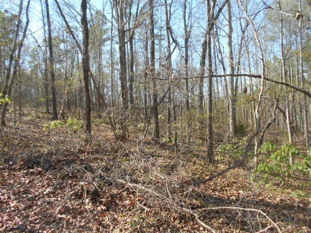 other for sale at 0 Nebo Road, Dallas, GA 30141 — photo 2