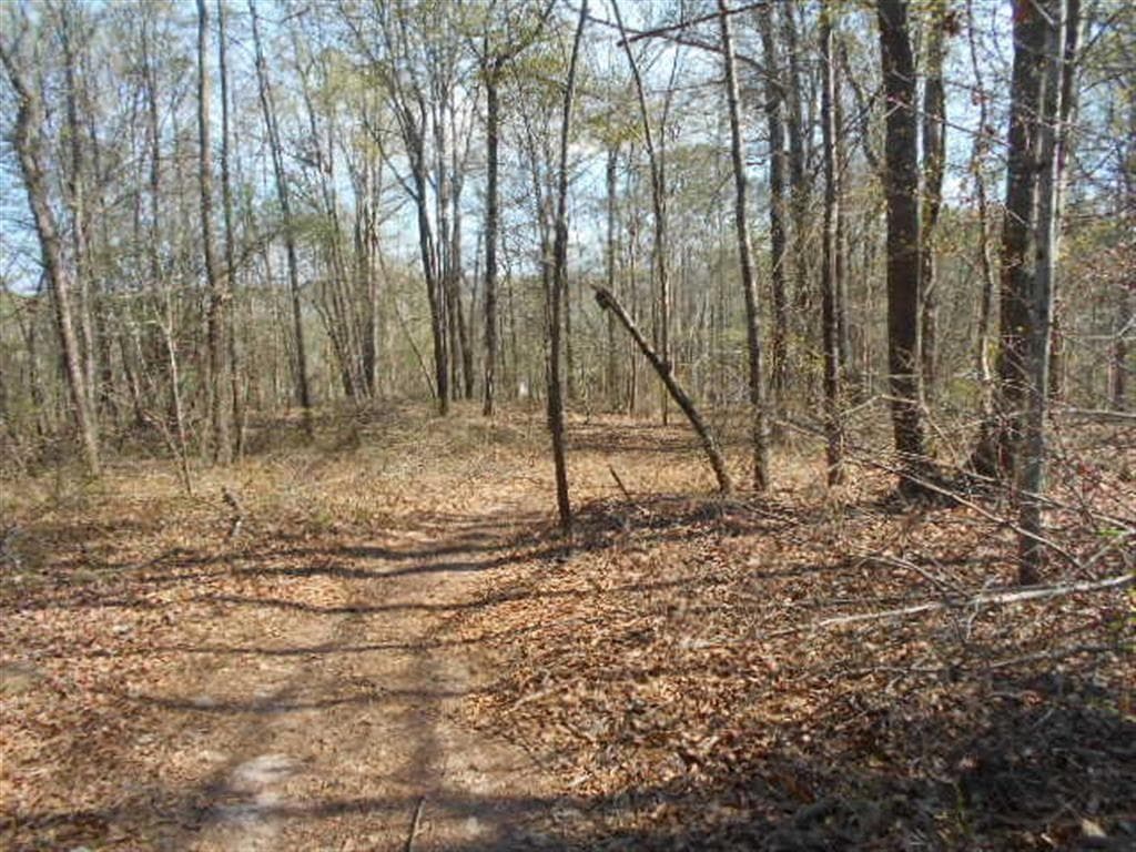 other for sale at 0 Nebo Road, Dallas, GA 30141 — photo 3