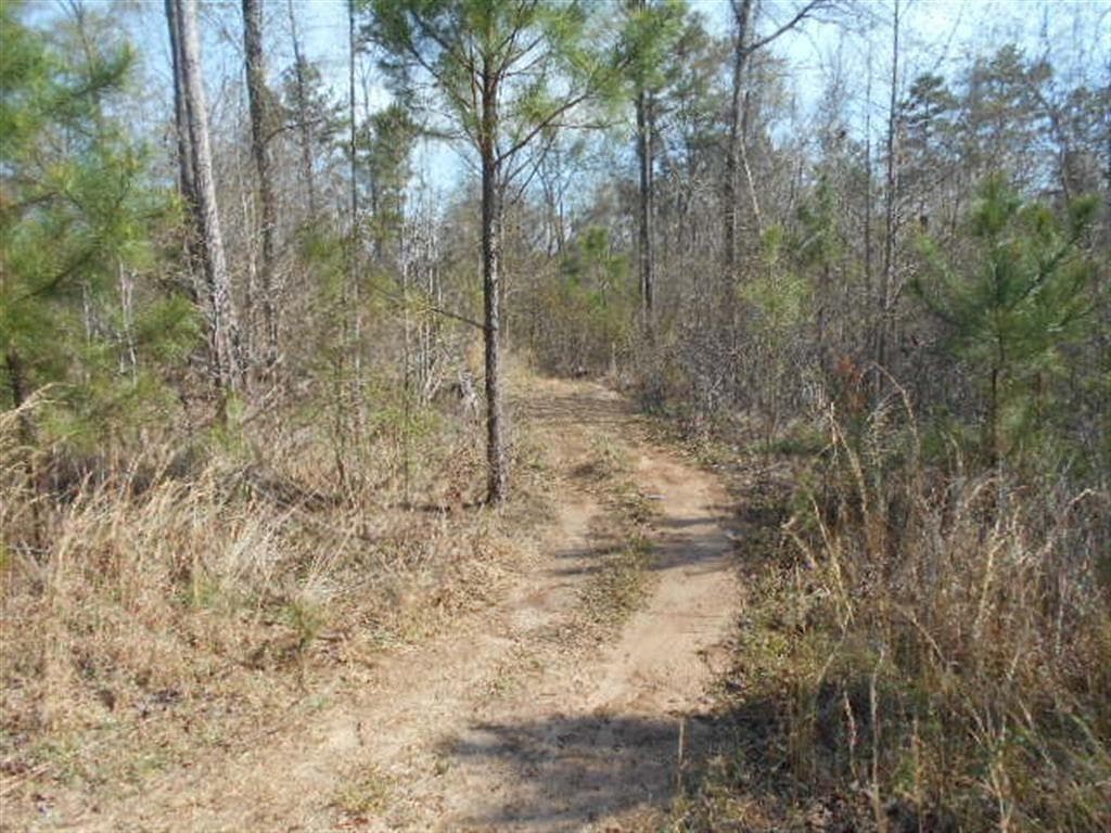 other for sale at 0 Nebo Road, Dallas, GA 30141 — photo 4
