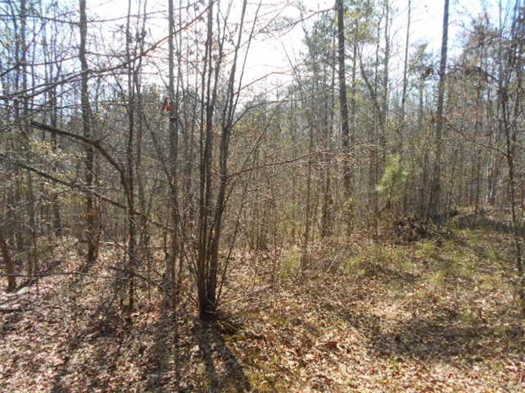 other for sale at 0 Nebo Road, Dallas, GA 30141 — photo 5