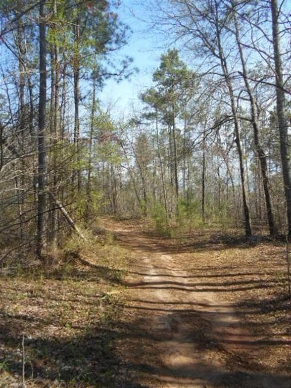 other for sale at 0 Nebo Road, Dallas, GA 30141 — photo 6