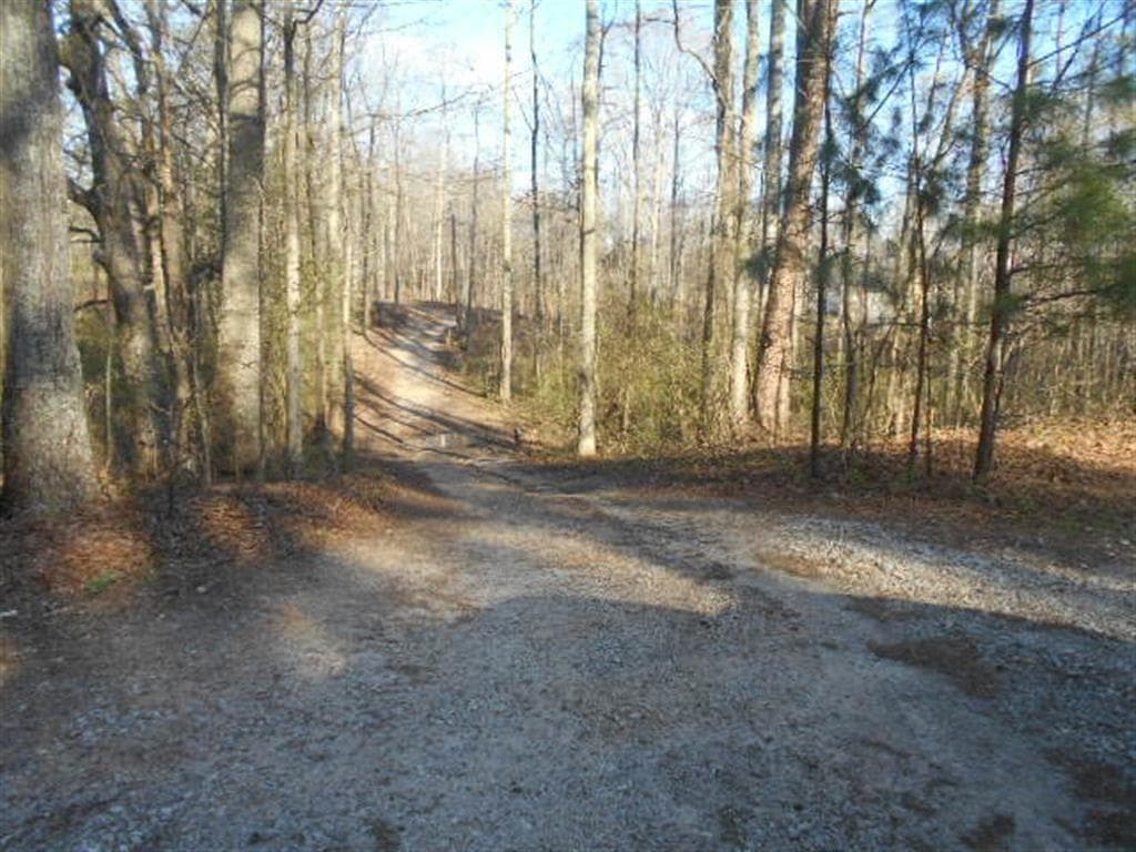 other for sale at 0 Nebo Road, Dallas, GA 30141 — photo 7