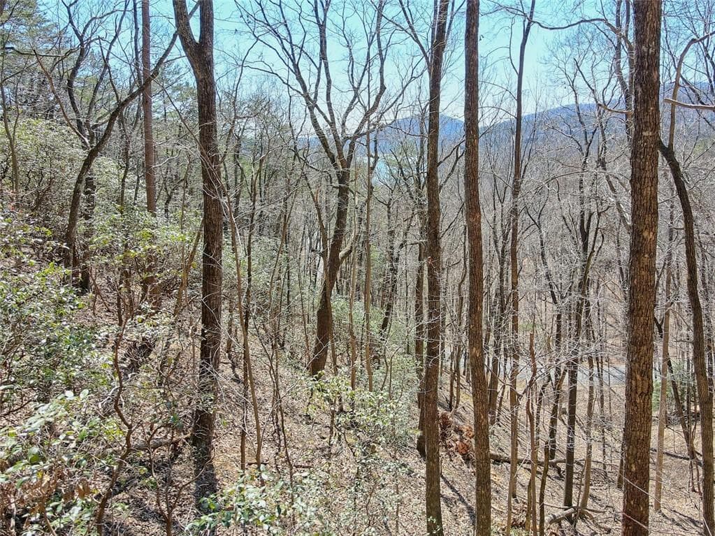 single family residence for sale at 1109 Quail Cove Drive, Big Canoe, GA 30143 — photo 4