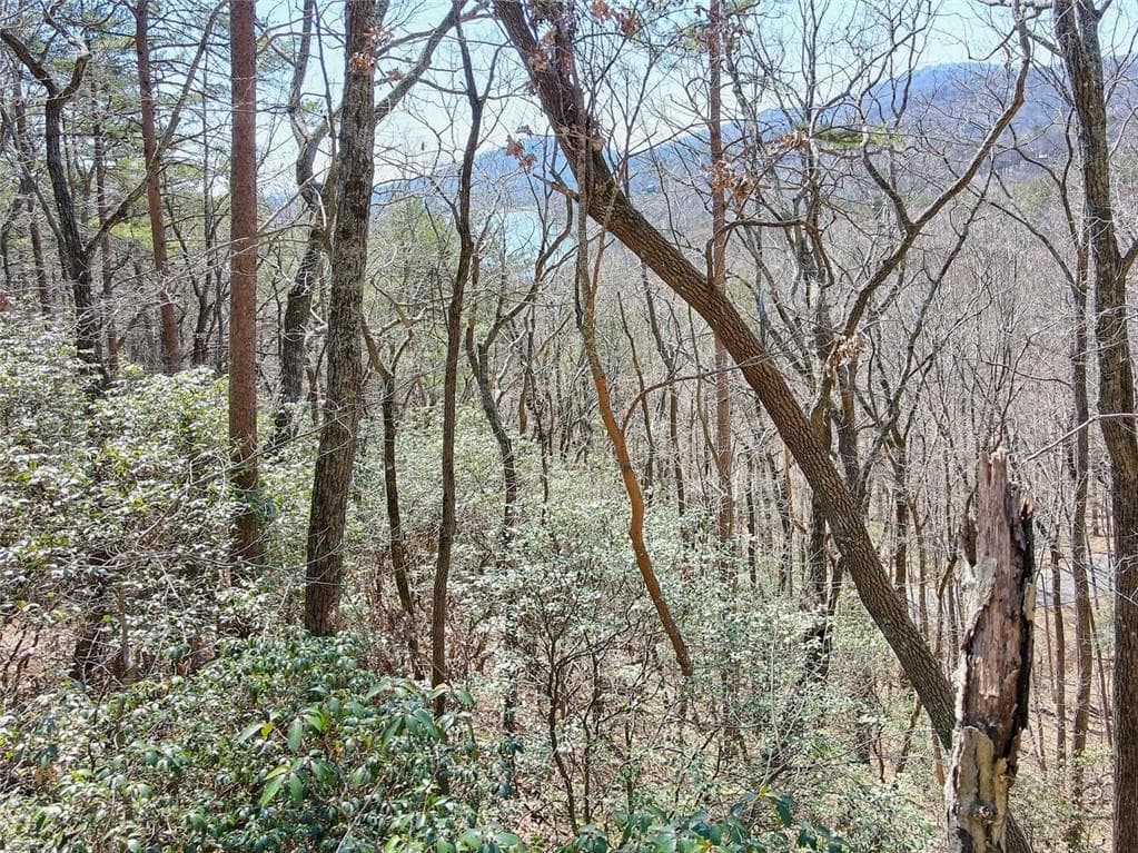 single family residence for sale at 1109 Quail Cove Drive, Big Canoe, GA 30143 — photo 7