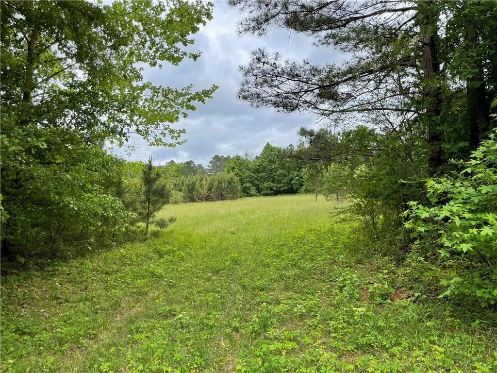 unimproved land for sale at 216 McMichen Road, Dallas, GA 30157 — photo 2