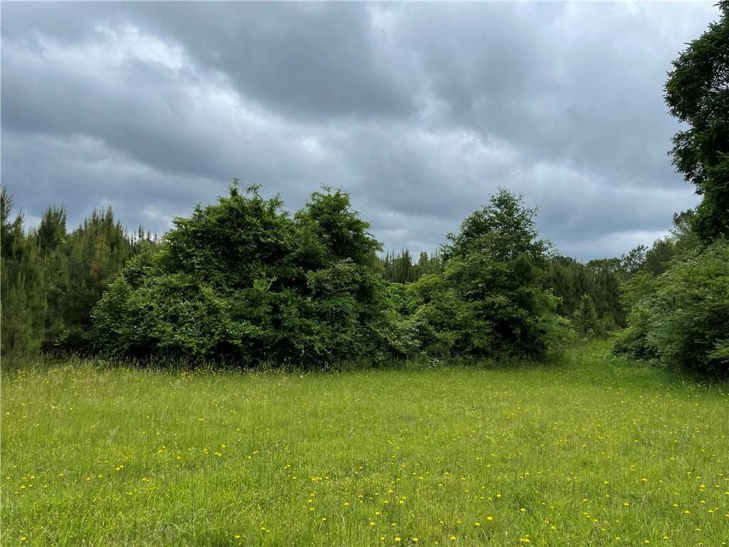 unimproved land for sale at 216 McMichen Road, Dallas, GA 30157 — photo 3