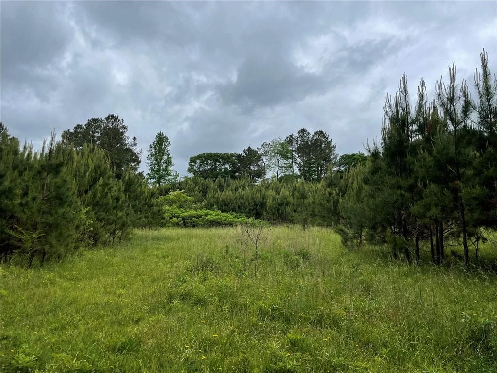 unimproved land for sale at 216 McMichen Road, Dallas, GA 30157 — photo 4