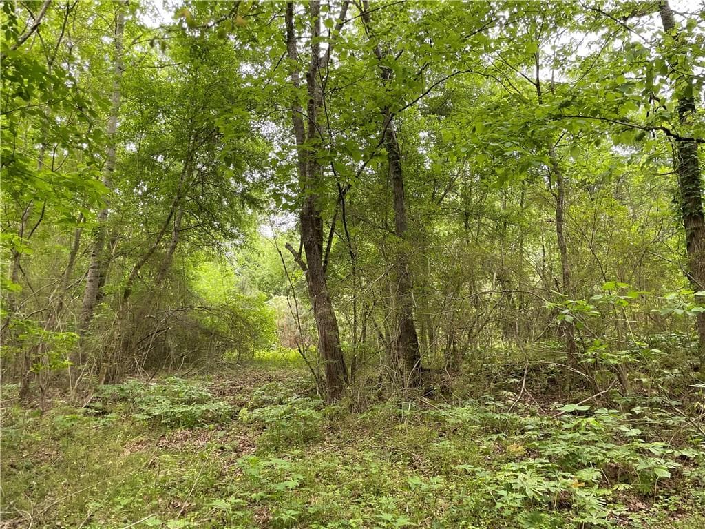 unimproved land for sale at 216 McMichen Road, Dallas, GA 30157 — photo 5