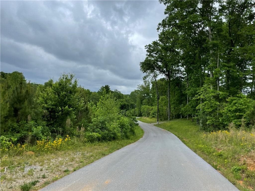 unimproved land for sale at 216 McMichen Road, Dallas, GA 30157 — photo 6