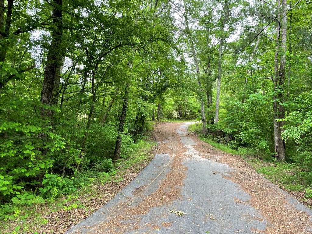 unimproved land for sale at 216 McMichen Road, Dallas, GA 30157 — photo 7