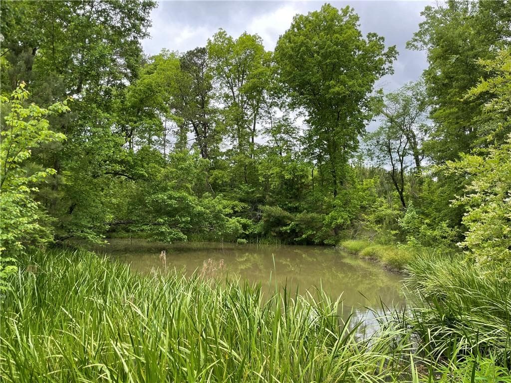 unimproved land for sale at 216 McMichen Road, Dallas, GA 30157 — photo 8