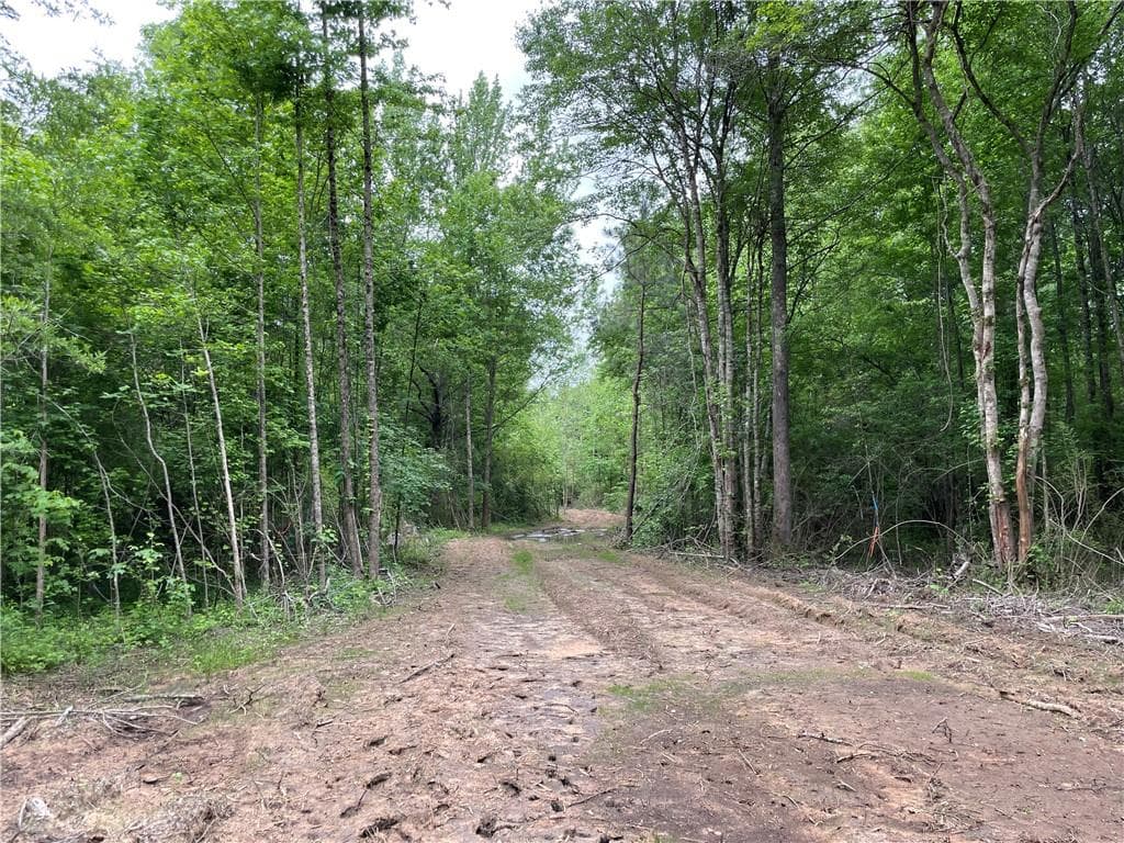 unimproved land for sale at 216 McMichen Road, Dallas, GA 30157 — photo 9